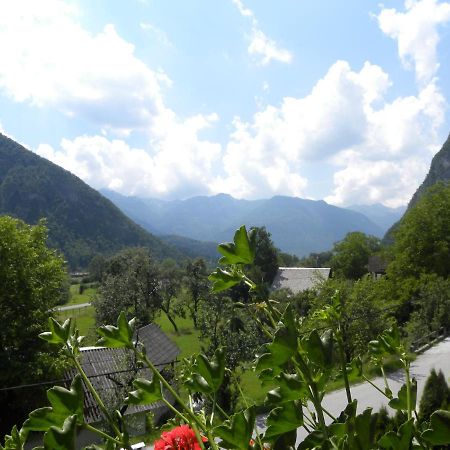 Apartma Cvetek, Srednja Vas 133 Bohinj Exterior photo